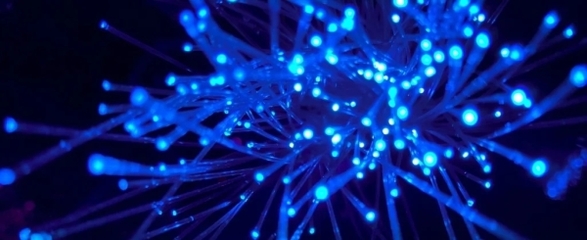 日本新技术创数据传输速度新纪录 每秒319Tb，重塑电子产品未来